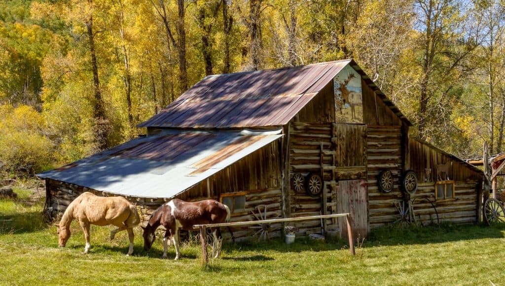 18 Places Giving Out Free Land in 2021 (Great For Homesteading)