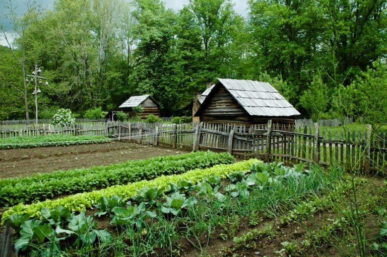18 Places Giving Out Free Land in 2021 (Great For Homesteading)