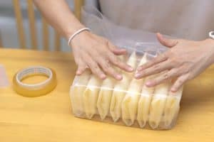 woman with bags of frozen breast milk as example in how to sell your breast milk.