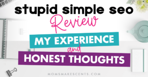 stupid simple seo review cover image