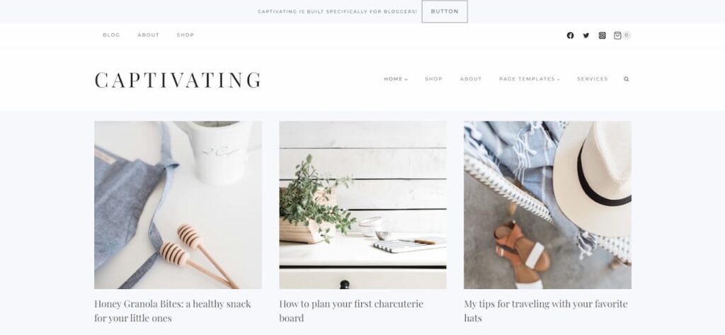 captivating design looks stylish, making your site look professional even if you only have a few posts up.