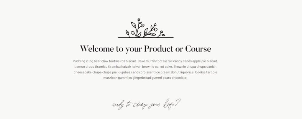 wordpress theme introduction screenshot for reference